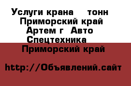 Услуги крана 50 тонн - Приморский край, Артем г. Авто » Спецтехника   . Приморский край